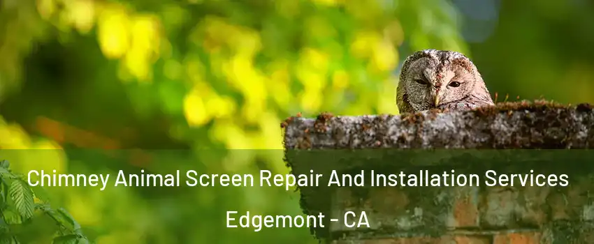 Chimney Animal Screen Repair And Installation Services Edgemont - CA