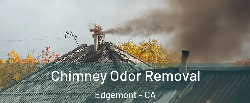 Chimney Odor Removal Edgemont - CA
