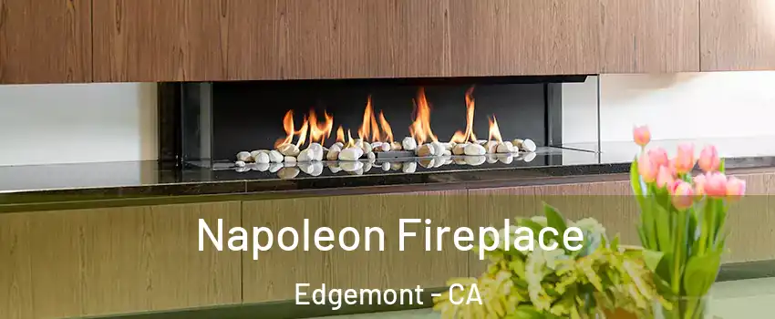 Napoleon Fireplace Edgemont - CA